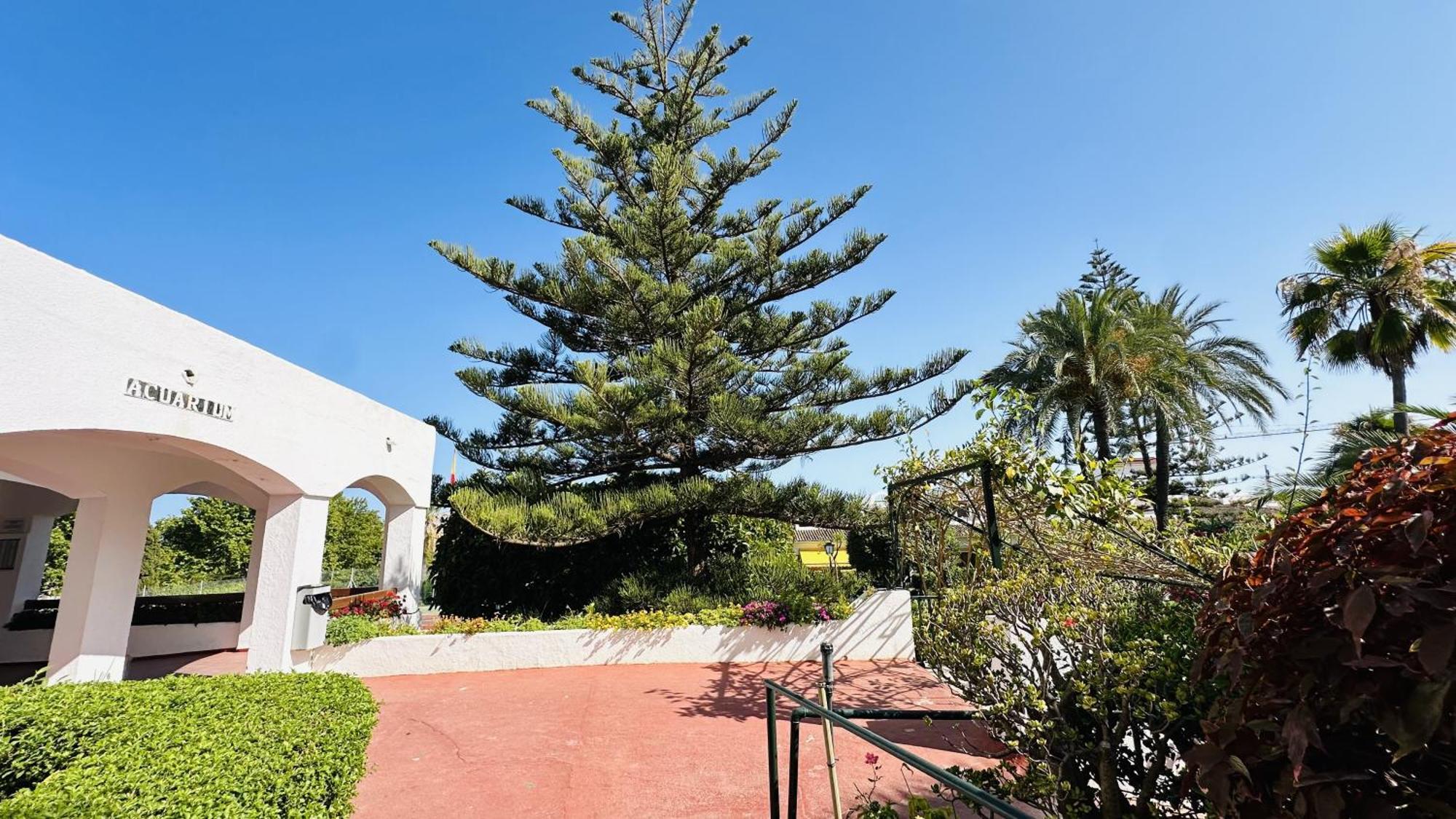 Marbella Studio Golden Mile Eksteriør billede