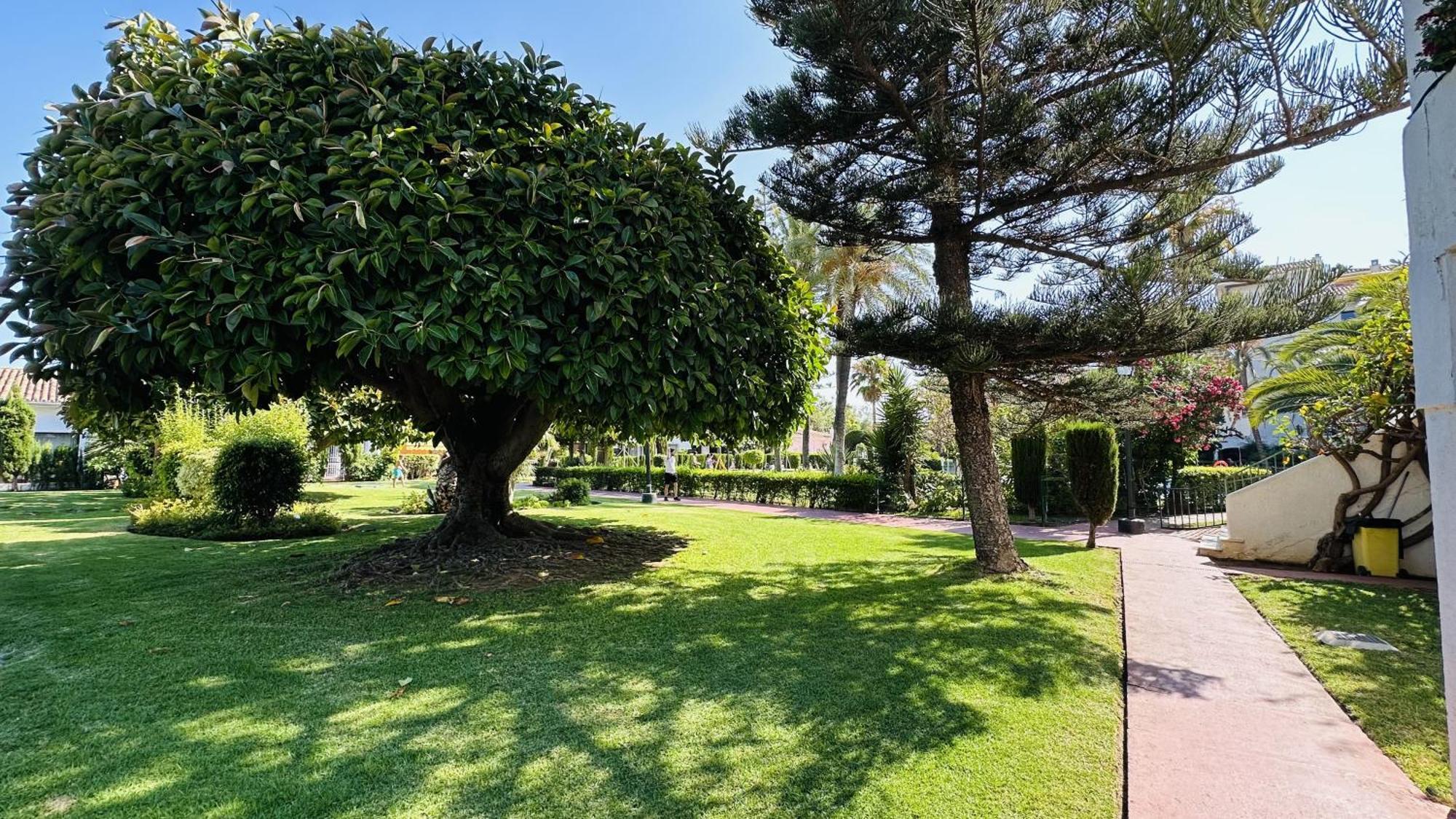 Marbella Studio Golden Mile Eksteriør billede